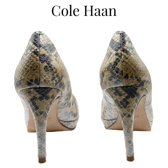 Cole Haan • Chelsea Platform Heels • Python • 7 US • EUC • Dust Bag + Heel Tips - Picture 9 of 16